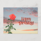 Carte postale - Rose au coucher du soleil (Devant)