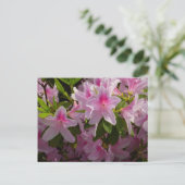 Carte Postale Rose Azalea Bush printemps floral (Debout devant)