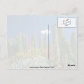 Carte Postale Rose Beaucoup de plantes, Désert de Sonoran, fleur (Dos)