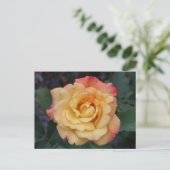 Carte Postale Rose Beautiful Pink and Yellow Floral (Debout devant)