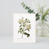 Carte Postale Rose Bell (Debout devant)