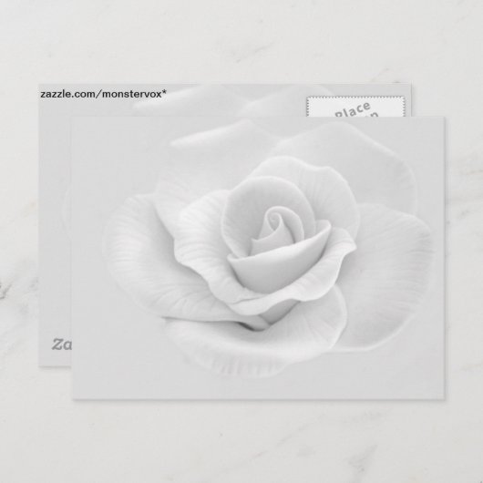 Carte Postale Rose Blanche (Devant / Derrière)