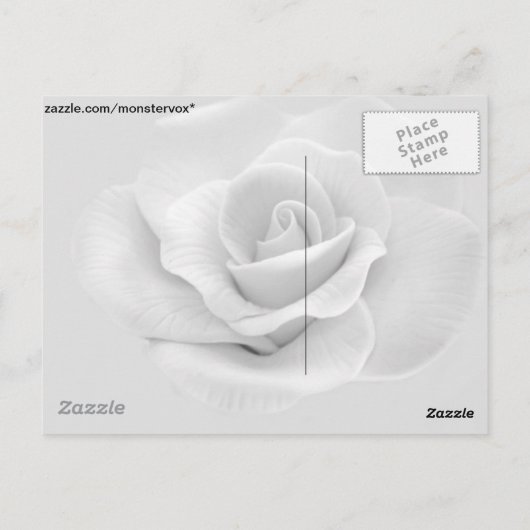Carte Postale Rose Blanche (Dos)