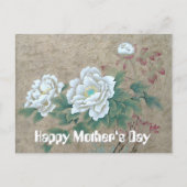 Carte Postale Rose blanche (Devant)