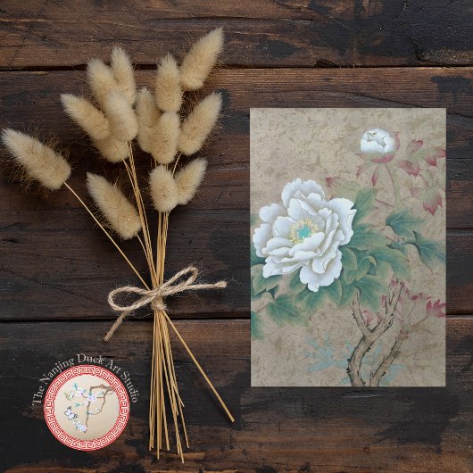 Carte Postale Rose blanche