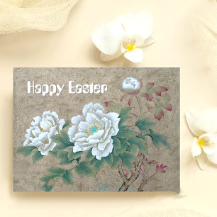 Carte Postale Rose blanche