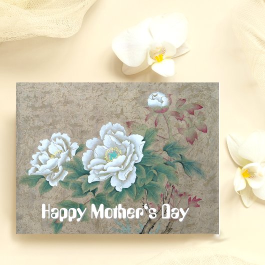 Carte Postale Rose blanche
