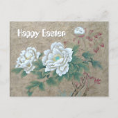 Carte Postale Rose blanche (Devant)