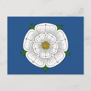 Carte Postale Rose blanche de York