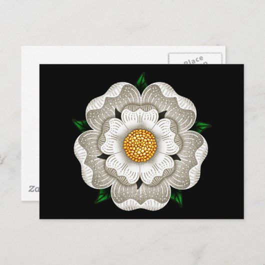 Carte Postale Rose blanche de York (Devant / Derrière)