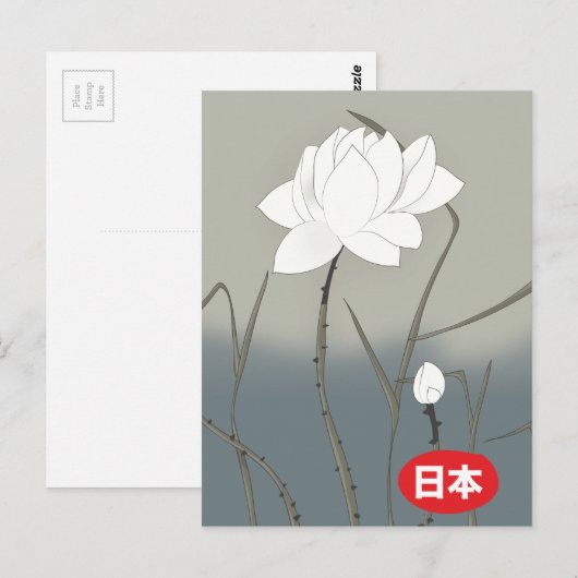 Carte Postale Rose Blanche Japonaise (Devant / Derrière)