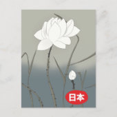 Carte Postale Rose Blanche Japonaise (Devant)