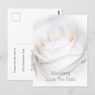 Carte Postale Rose blanche Mariage personnalisé Enregistrer la d