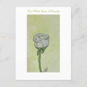 Carte postale Rose blanche ou note