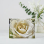 Carte postale Rose blanche peinte (Debout devant)