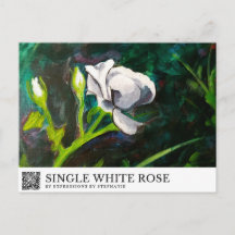 Rose Blanche Simple