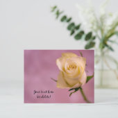 Carte postale rose blanche simple (Debout devant)