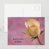 Carte postale rose blanche simple (Devant / Derrière)