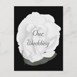 Carte Postale Rose blanche sur Black, invitation de mariage Cart