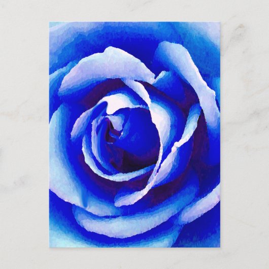 Carte Postale Rose bleu_ (Devant)