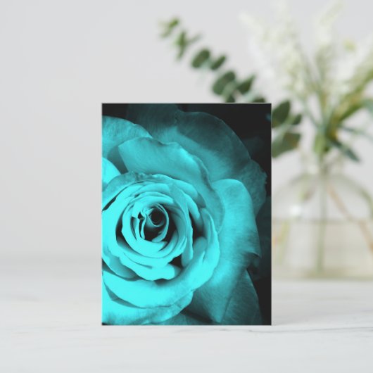 Carte Postale Rose bleu (Debout devant)