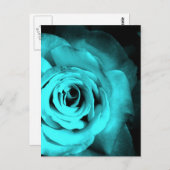 Carte Postale Rose bleu (Devant / Derrière)