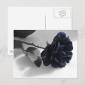 Carte Postale Rose bleu (Devant / Derrière)