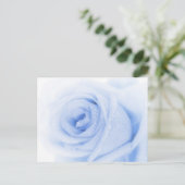 Carte postale rose bleu (Debout devant)