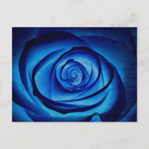 Carte postale Rose bleu