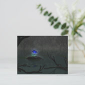 Carte postale Rose bleu (Debout devant)