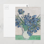 Carte Postale Rose bleu (Devant / Derrière)