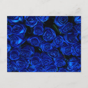 Carte Postale Rose bleu