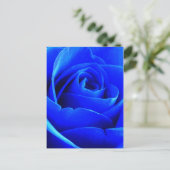 Carte postale Rose bleu (Debout devant)