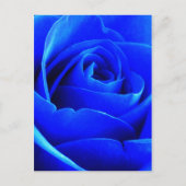 Carte postale Rose bleu (Devant)