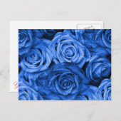 Carte Postale Rose bleu (Devant / Derrière)