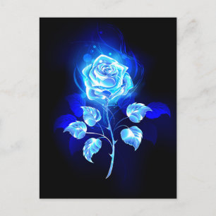 Carte Postale Rose bleu brûlant