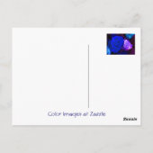 Carte Postale Rose bleu violet (Dos)