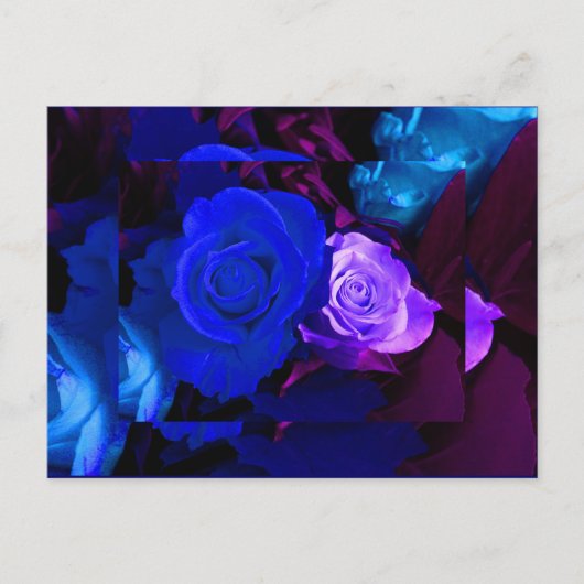 Carte Postale Rose bleu violet (Devant)