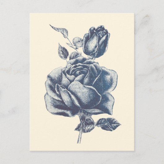 Carte Postale Rose Bleue Élégante Vintage  (Devant)