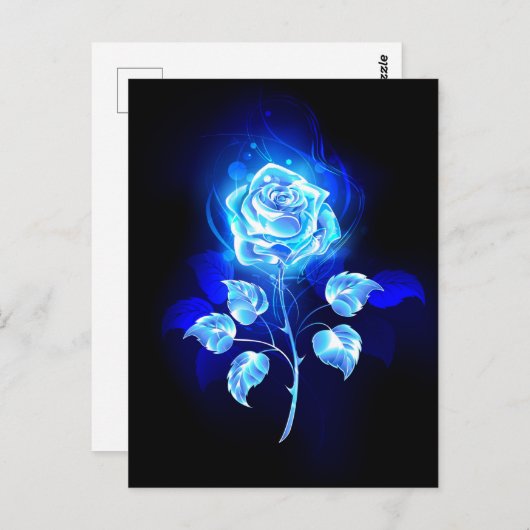 Carte Postale Rose bleue en feu (Devant / Derrière)