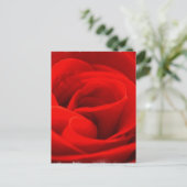 Carte postale rose Blossom (Debout devant)