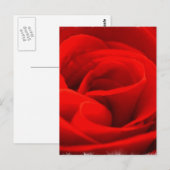 Carte postale rose Blossom (Devant / Derrière)