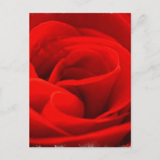 Carte postale rose Blossom