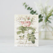 Carte postale rose botanique française vintage (Debout devant)