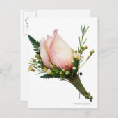 Carte Postale Rose Boutonniere (Devant / Derrière)