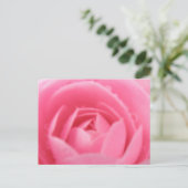 Carte postale Rose Camellia (Debout devant)