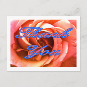 Carte Postale Rose Canterbury 4 Merci 1 Le MUSÉE Zazzle Gi