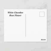 Carte Postale Rose Cherokee blanc (Dos)