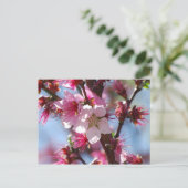 Carte postale Rose Cherry Blossom (Debout devant)