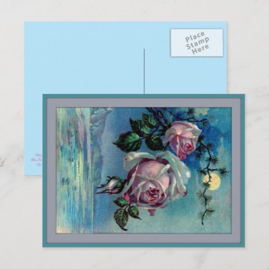Carte postale Rose clair de lune (Devant / Derrière)